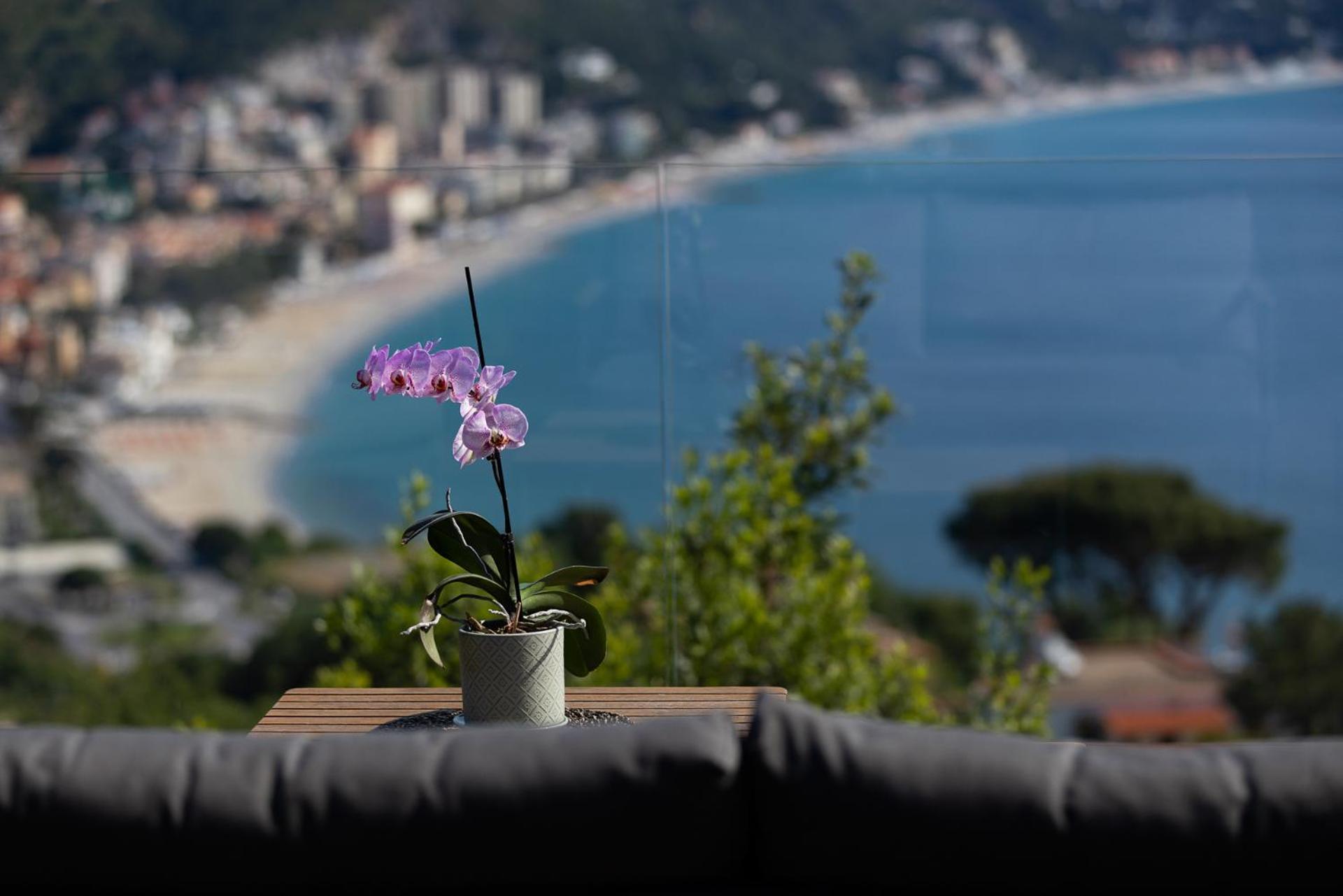 Spettacolare Vista Isola Terrazza E Idromassaggio Villa Noli Dış mekan fotoğraf